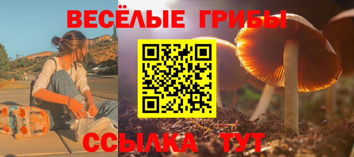 Псилоцибиновые грибы Magic Shrooms Дербент