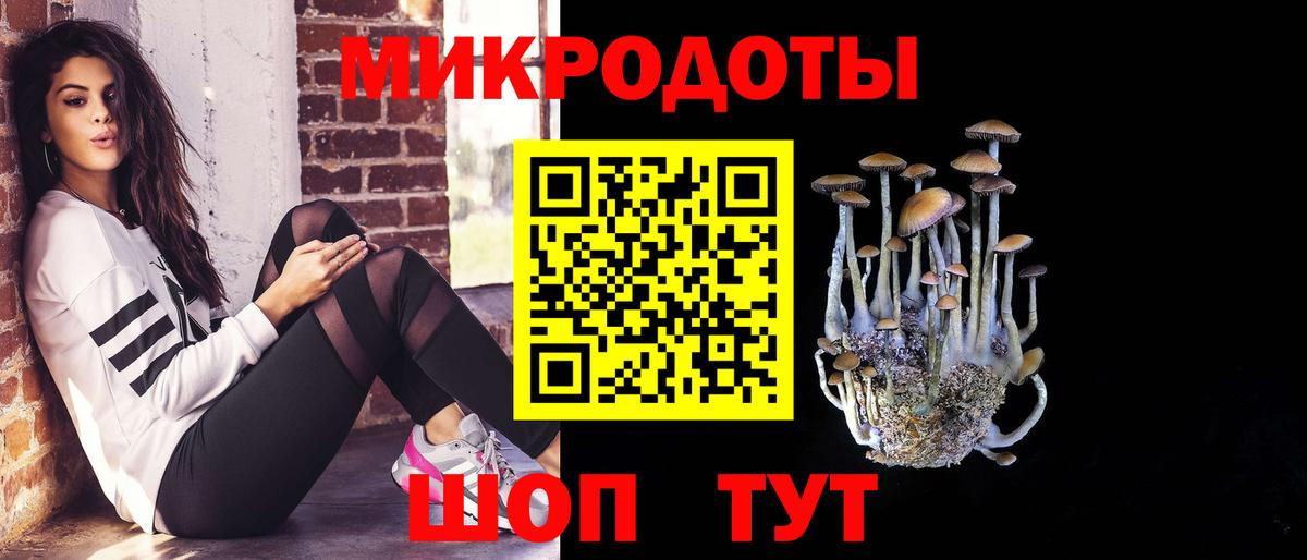 Псилоцибиновые грибы мухоморы  как найти закладки  Вход с VPN  Дербент  Галлюциногенные грибы Psilocybe 